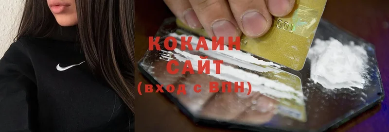 КОКАИН Fish Scale  хочу   Заволжск 